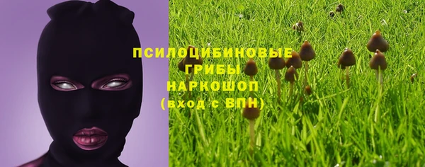 mdma Богданович