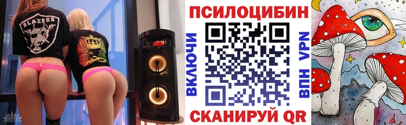 Купить закладки  Чекалин  Псилоцибиновые грибы GOLDEN TEACHER 